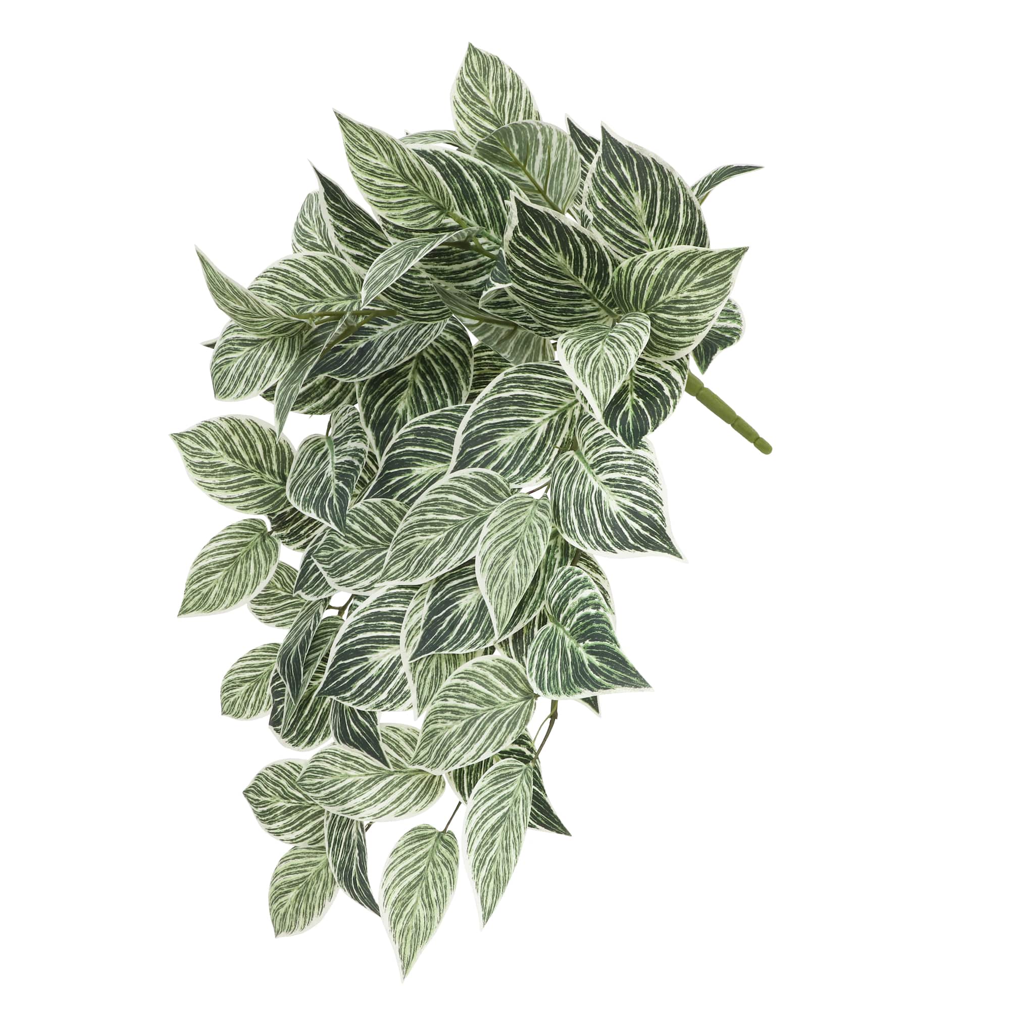 23" Philodendron Birkin Hanging Bush by Ashland®